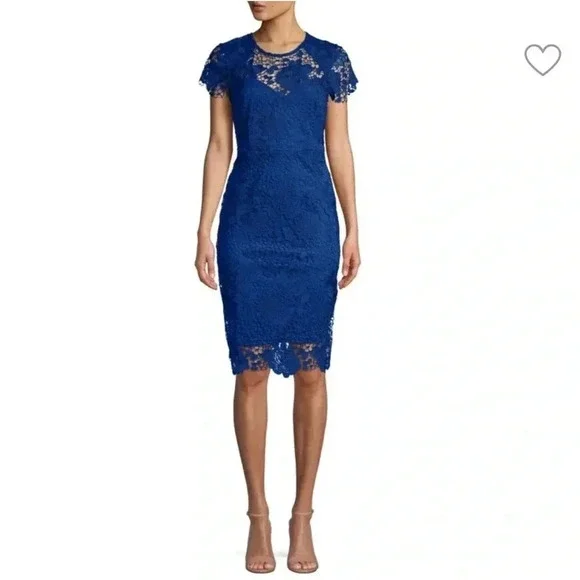 knee length dresses for ladies JS Collections Lace Peplum Dress
